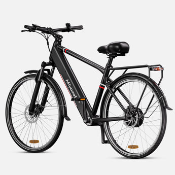 Miyazaki 350W Torque A5
