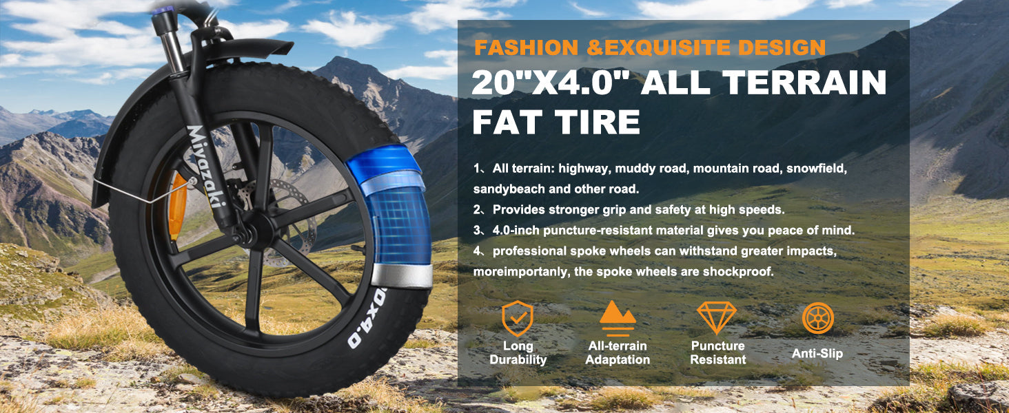 胖胎 Fat Tire
